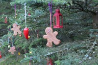 Kristus Apvienotā luterāņu draudze aicina uz Ziemassvētku pasākumu mežā