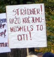 p10002121