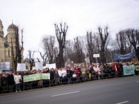 picture_894