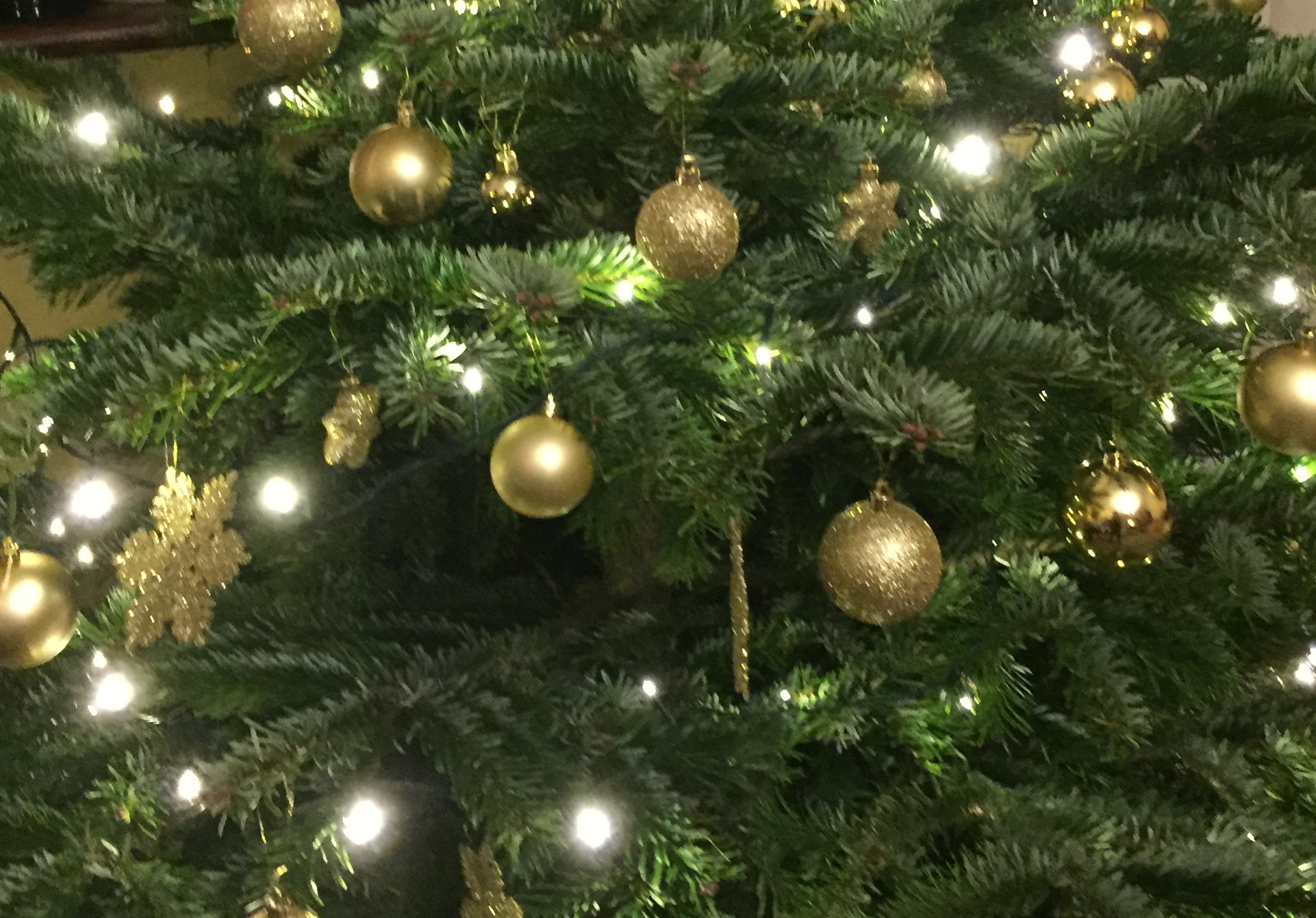 Piedalies Ziemassvētku labdarības akcijā!