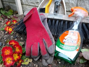 20190408_103041