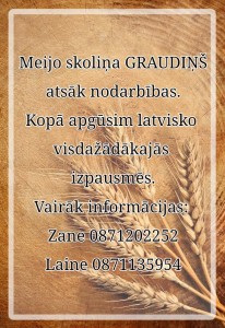 skolin%cc%a7as-sakuma-afisa-22