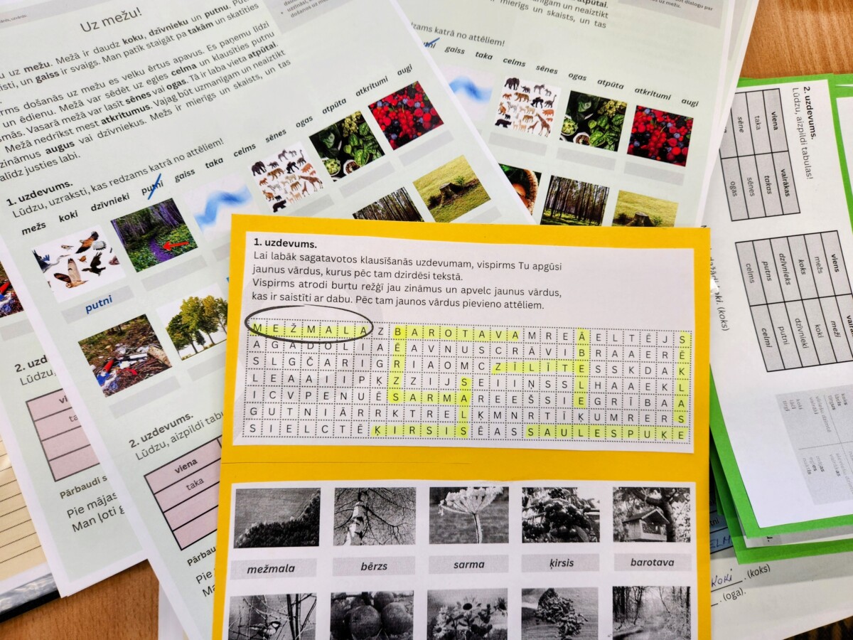 Vidusskolas vecuma jauniešus aicina pieteikties latviešu valodas nometnei